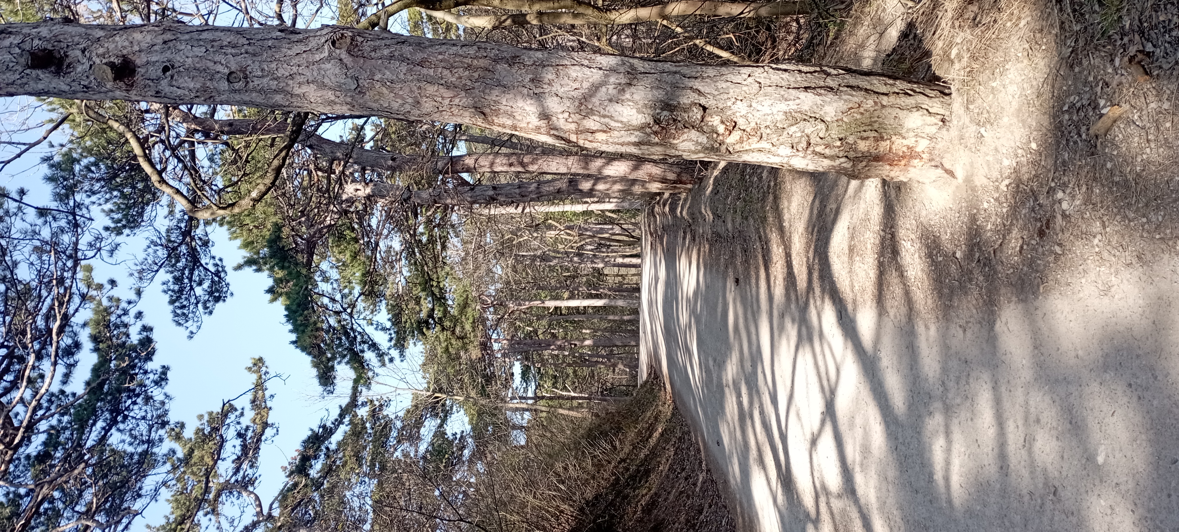 Relaxed route