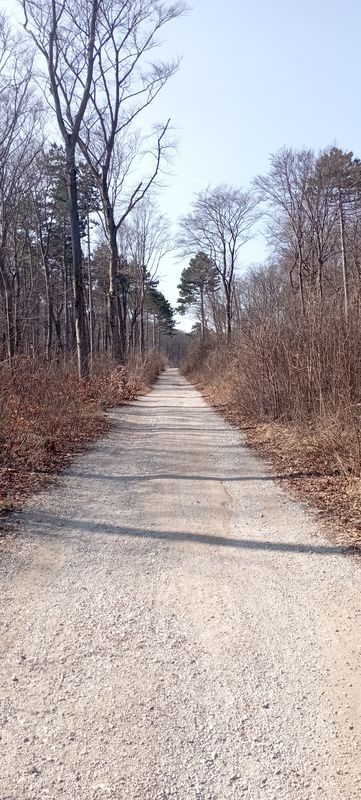 Relaxed route