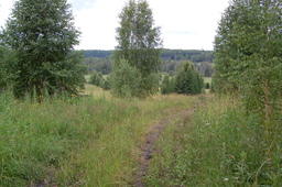 Highlight 9 along the Bikemap route "Обзорный маршрут по деревням Асиновского района"