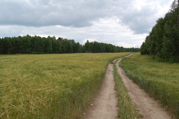 Highlight 3 along the Bikemap route "Обзорный маршрут по деревням Асиновского района"