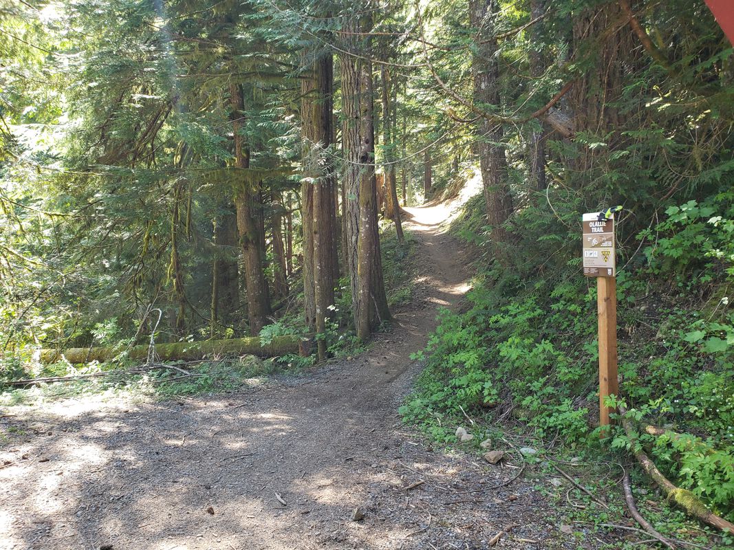Route from Iron Horse Trail, North Bend