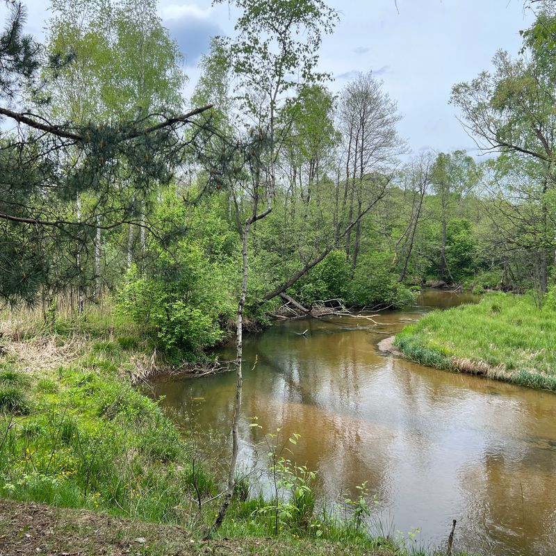 Obrońców Warszawy 7A, Sosnowiec do Obrońców Warszawy 7A, Sosnowiec