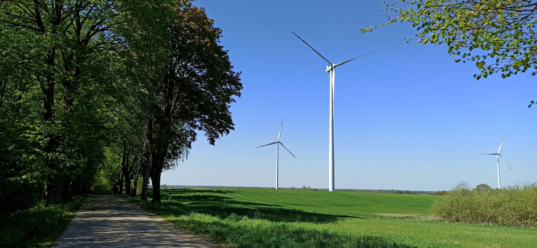 Warmia i inne - dzień 3 - Frombork - Pieniężno
