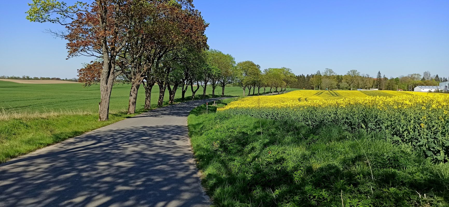 Warmia i inne - dzień 3 - Frombork - Pieniężno