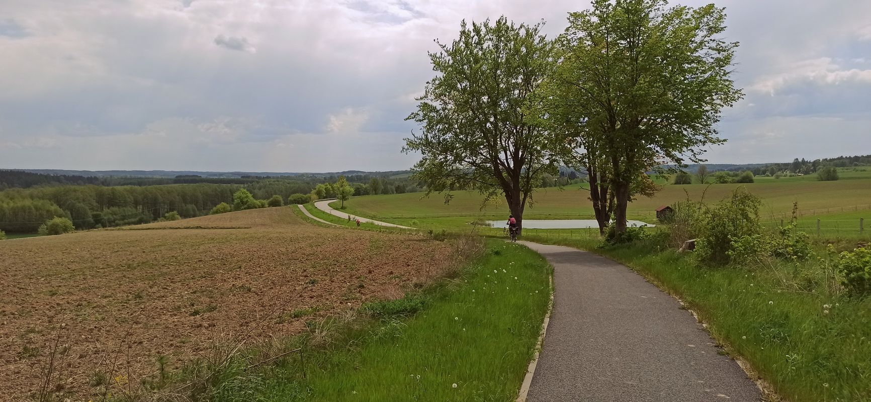 Warmia i inne - dzień 5 - Wielochowo - Olsztyn