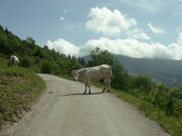 Highlight 3 along the Bikemap route "Vernetti-Prazzo-Canosio-Vernetti"