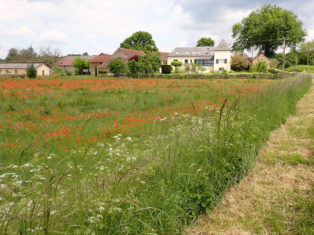 Cahors to La Forge (Souillac)