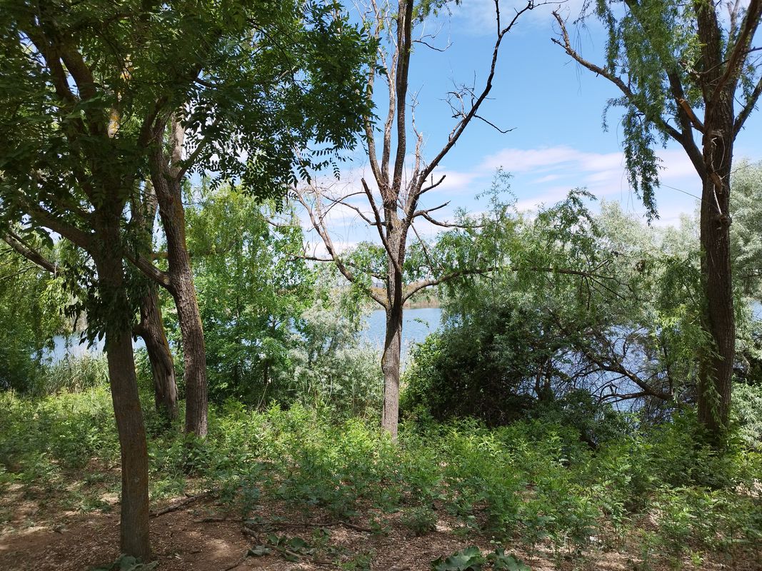 De Calle Varsovia 19, Coslada a Calle Varsovia 19, Coslada