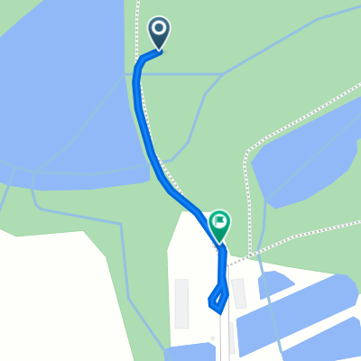 Přimdská, Bor do Rybářská, Bor