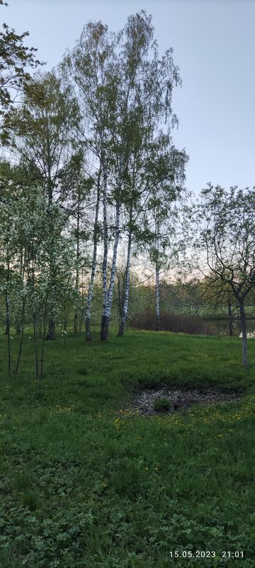 От Красносельское шоссе 85, Санкт-Петербург до Образцовая улица 5 корпус 1 строение 2, Санкт-Петербург