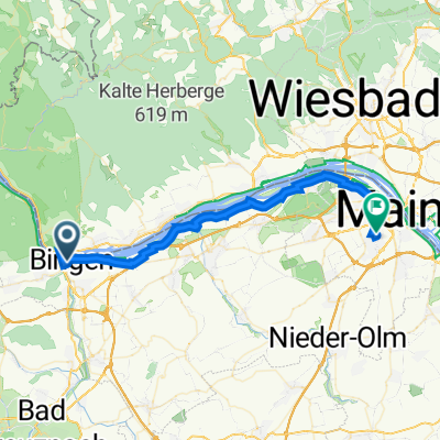 Bürgermeister-Franz-Neff-Platz 6, Bingen am Rhein nach Draiser Straße 119, Mainz