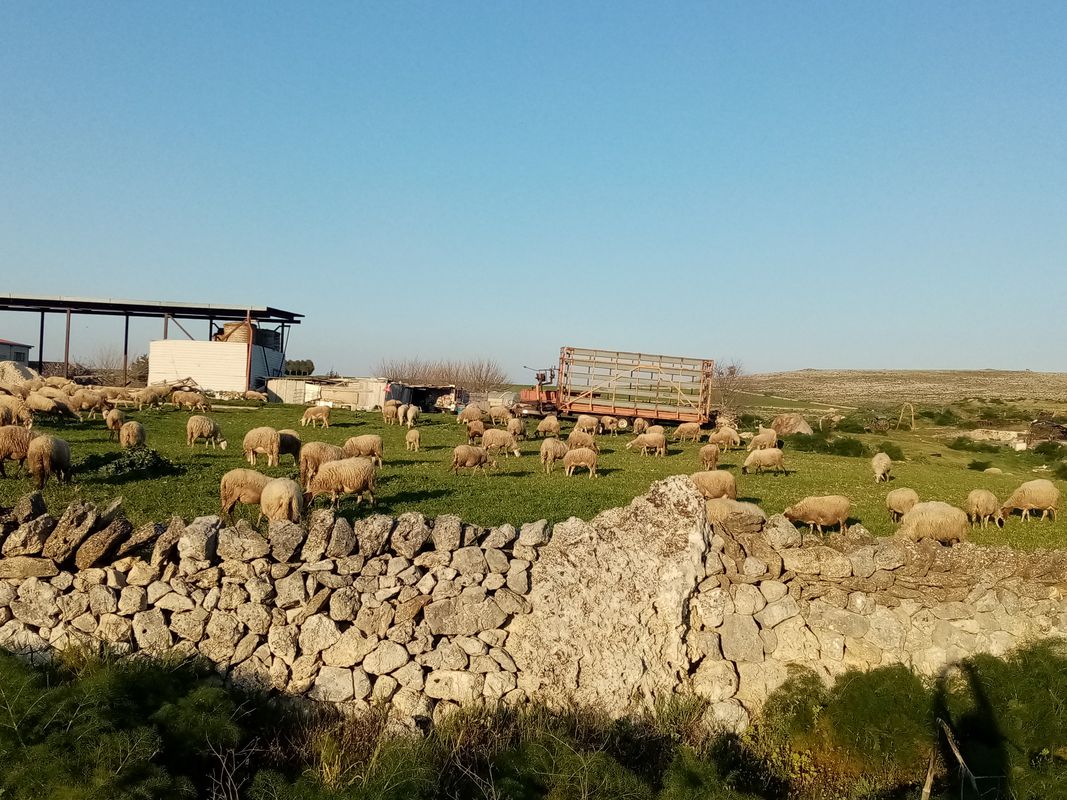 Matera - Altamura