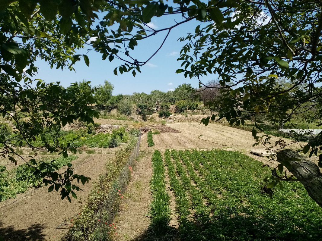 Matera - Altamura