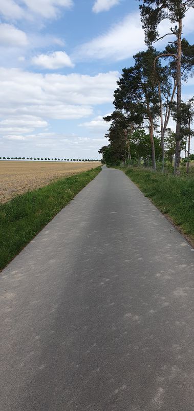 Hauptstraße 5, Dahme/Mark nach Wahlsdorf 27a, Dahme/Mark