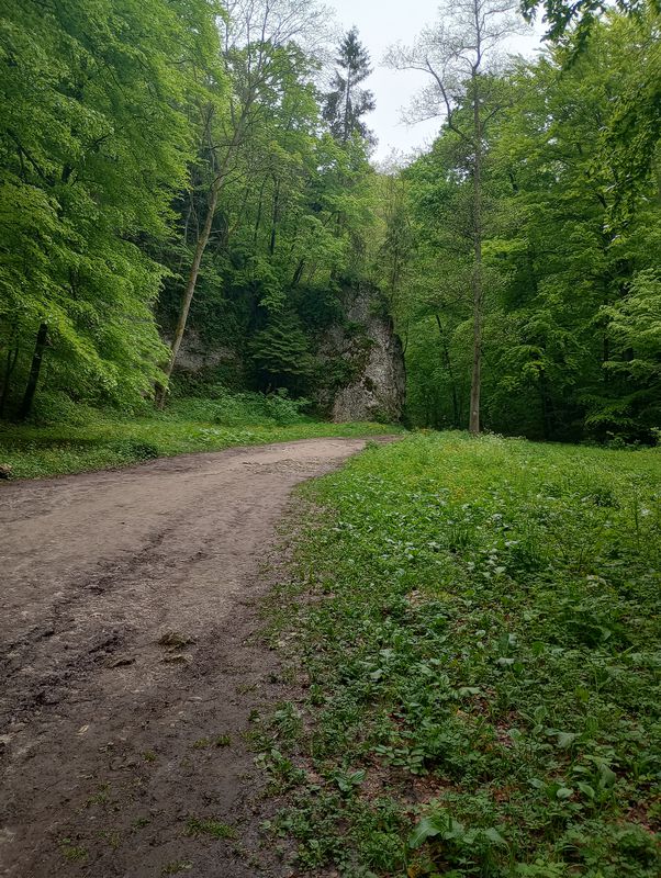 Kraków - Ojców