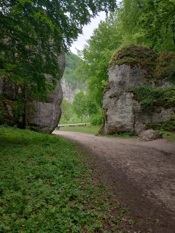 Kraków - Ojców