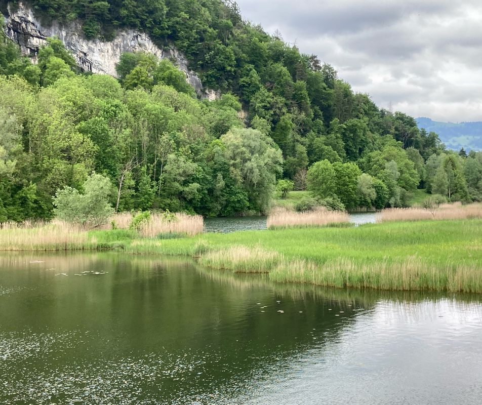 Altstätten nach Schaan, am Rhein entlang nach Altstätten