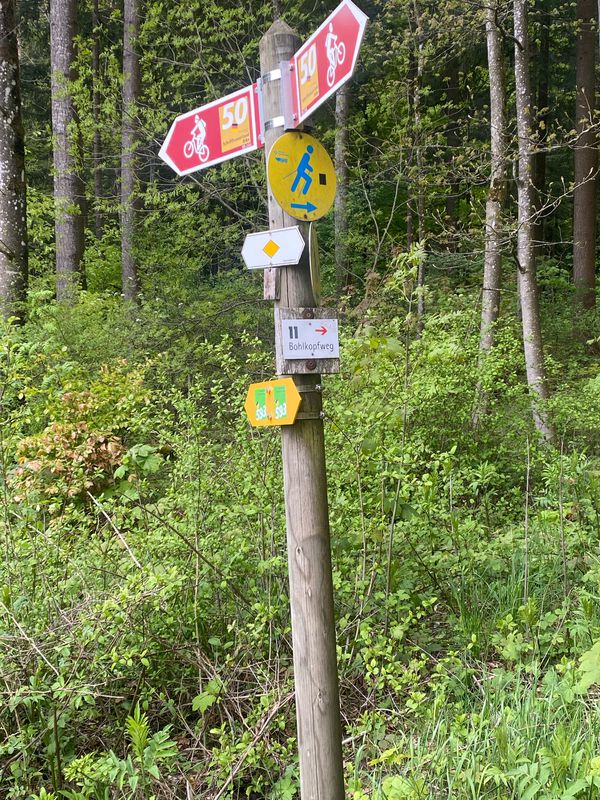 Swisstopo Route