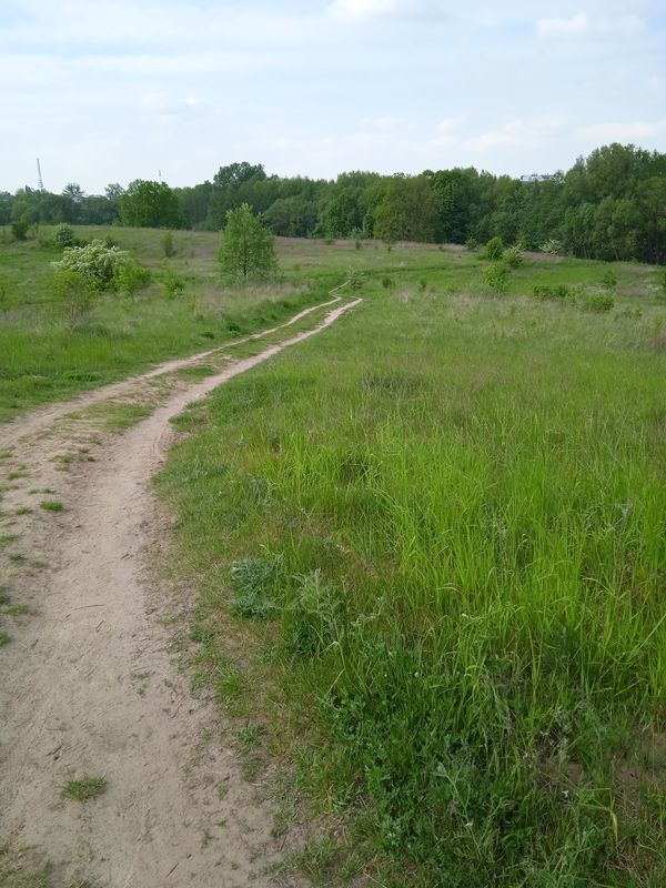 Trasa spokojna