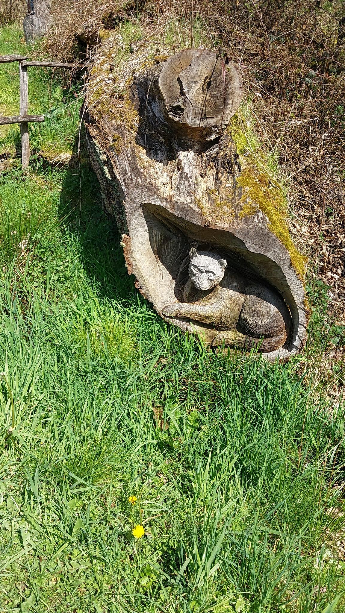 Michelbach - Ingelbach - Steineroth an der Wied - Hofmanns-Weiher - Dreifelder Weiher - Oberes Wiedtal - Wahlrod - Berod - Gieleroth  - Widderstein - Michelbach