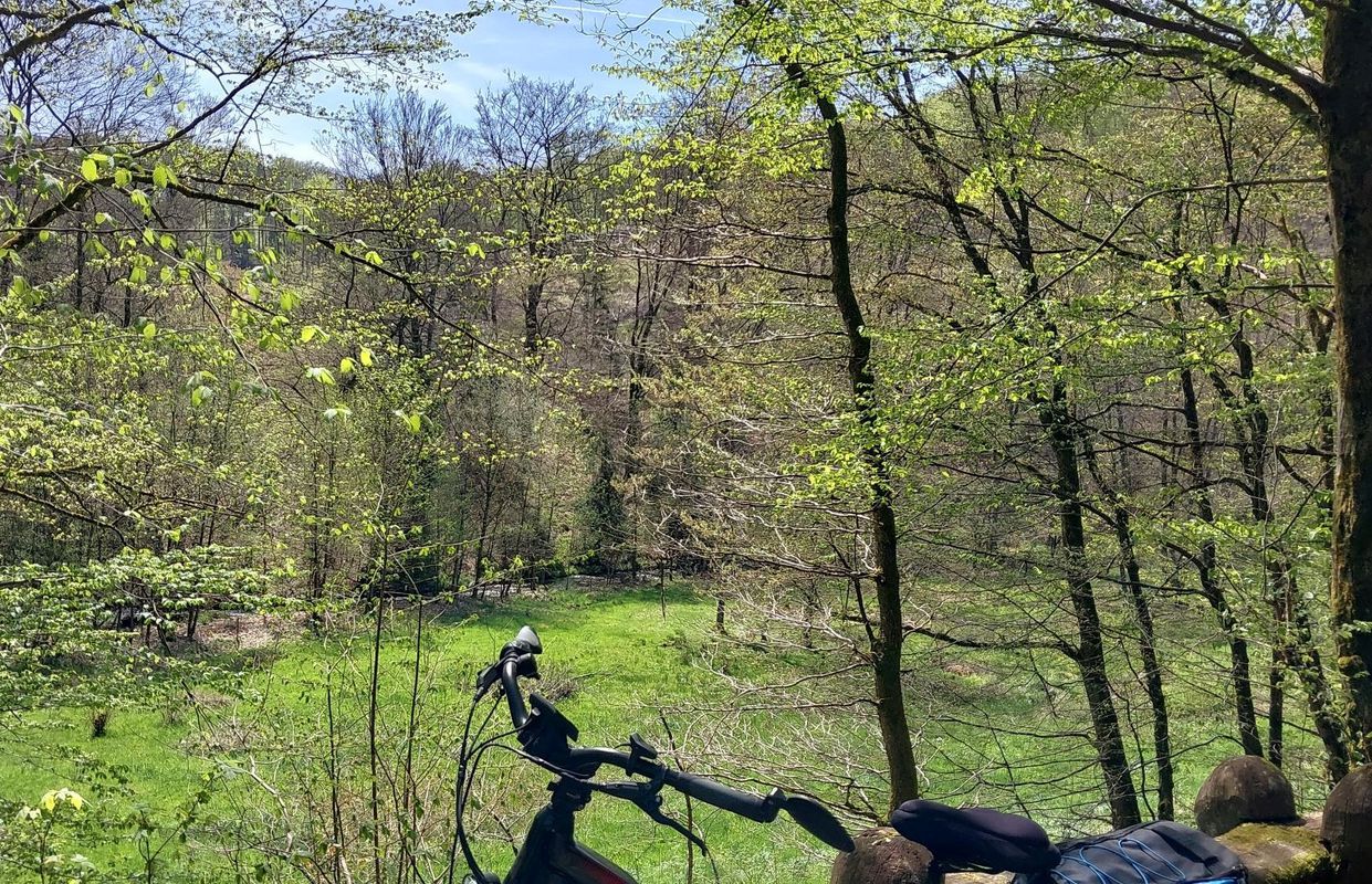 Michelbach - Ingelbach - Steineroth an der Wied - Hofmanns-Weiher - Dreifelder Weiher - Oberes Wiedtal - Wahlrod - Berod - Gieleroth  - Widderstein - Michelbach