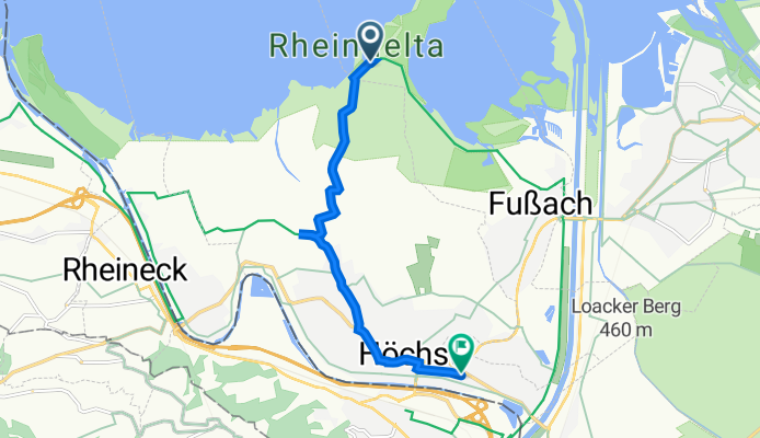 Hafen am Rohrspitz über Rheinradweg nach Höchst