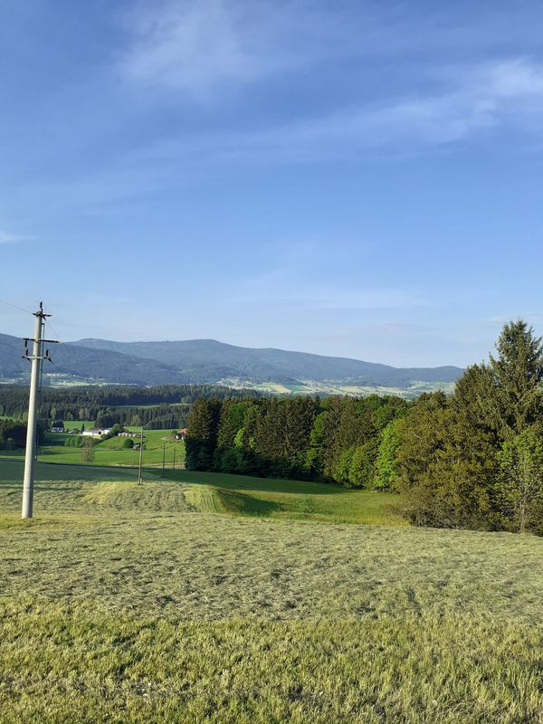 Grenzstrasse, Seitelschlag, Kohlstatt