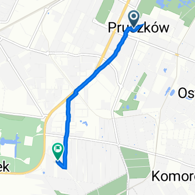 Hr Antoniego Potulickiego 6, Pruszków do Magnolii 22, Nowa Wieś