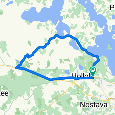 Sairakkala - Hollolan kk