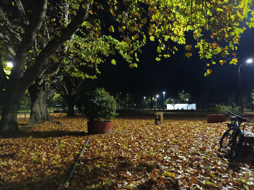 Paseo tranquilo