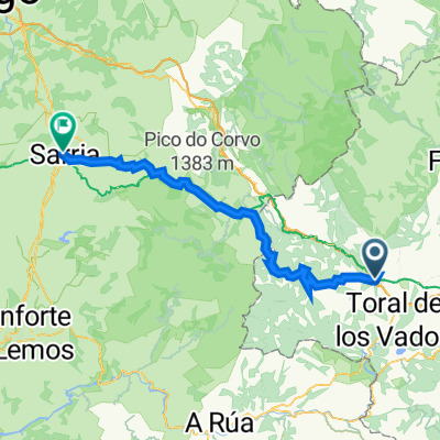 2 dia del camino Toby