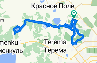 Route in der Bikemap App öffnen