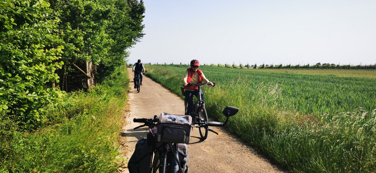 Rosenhofrunde 33 km