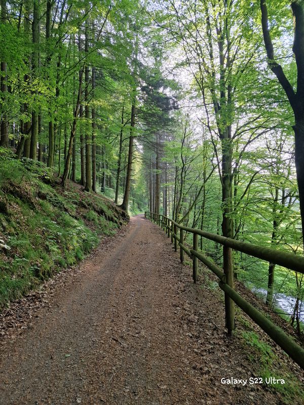 Vogelsang Einruhr Staumauer Heim