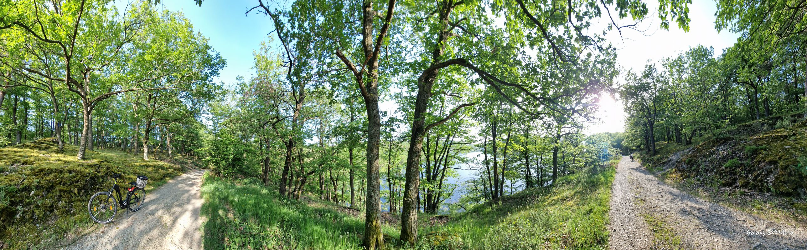 Vogelsang Einruhr Staumauer Heim