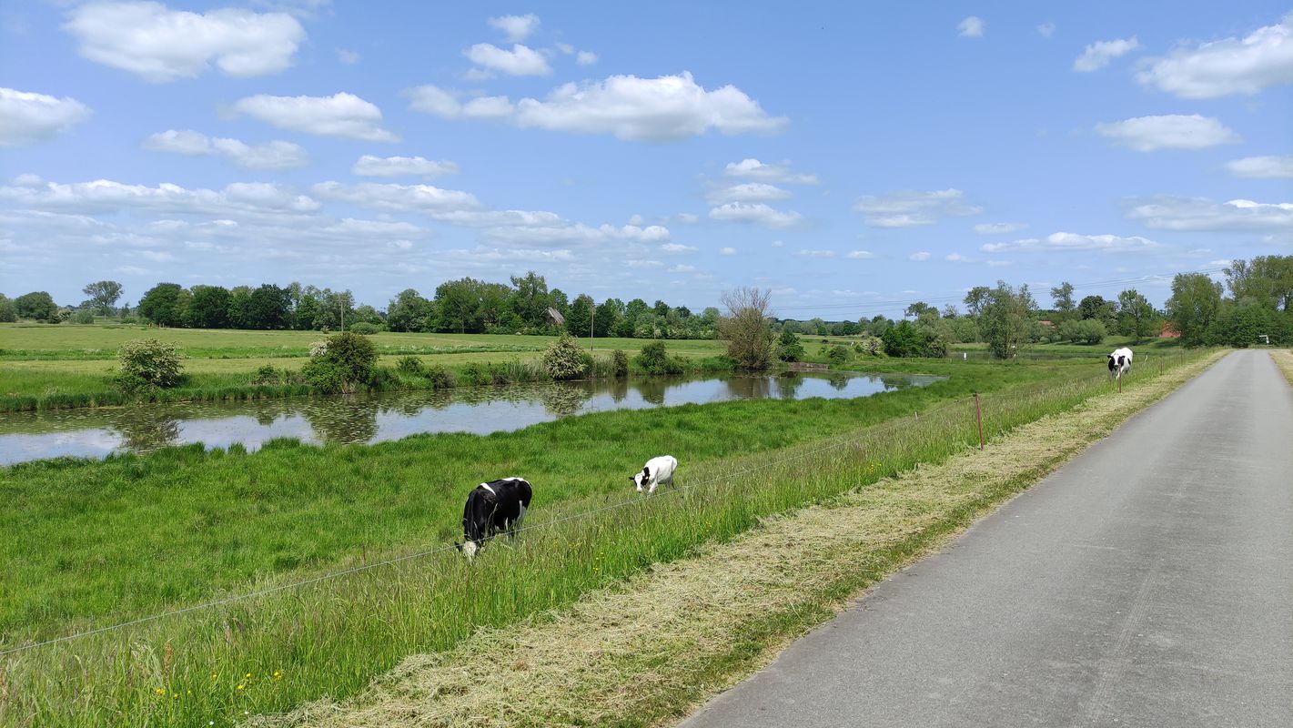 Teldauer Grünland Tour (Boizenburg - Teldau - Neu Bleckede - Boizenburg)