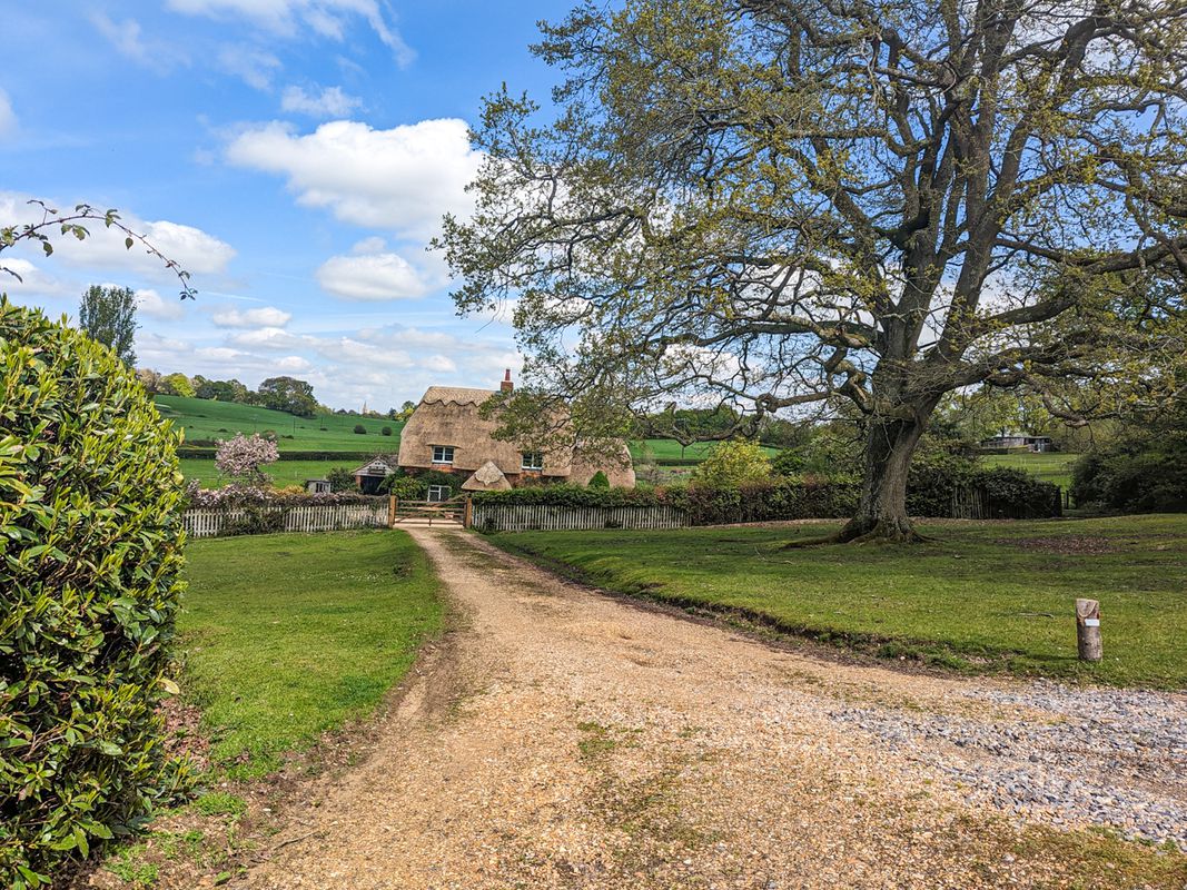 Ornamental Woods - New Forest National Pak