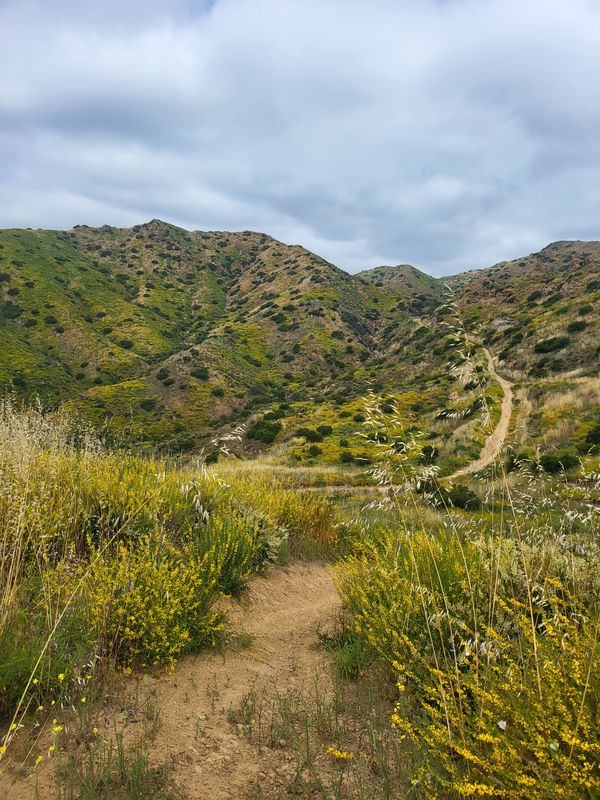 Conejo View Drive 28860, Agoura Hills to Conejo View Drive 28860, Agoura Hills