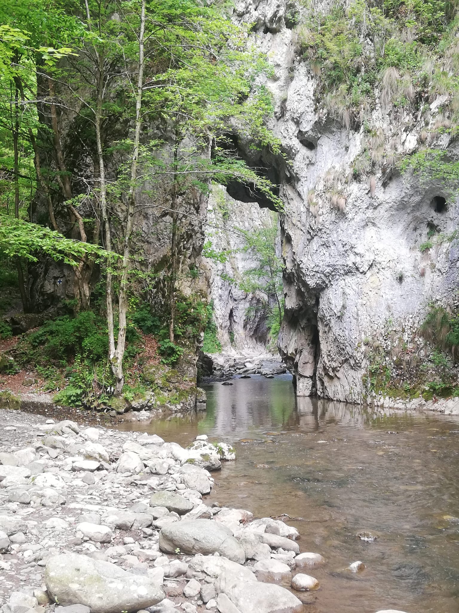 Cheile Râmețului