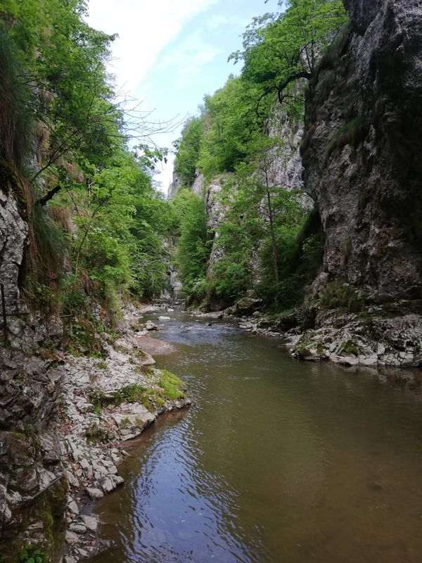 Cheile Râmețului