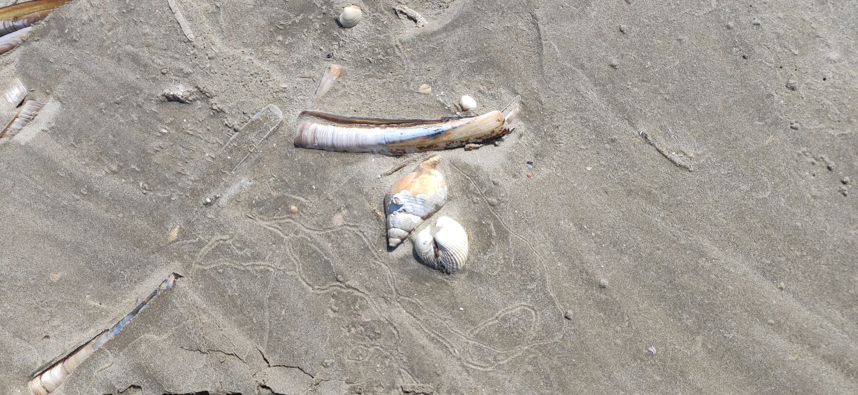 Sønderho Strandvej 40, Fanø nach Sønderho Strandvej 42, Fanø