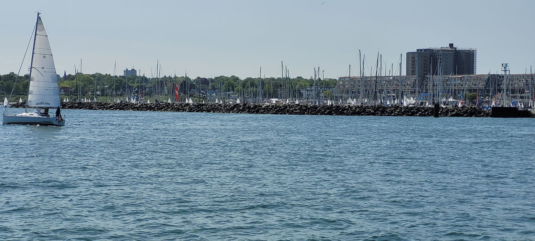20230528_DAMP HOHWACHT