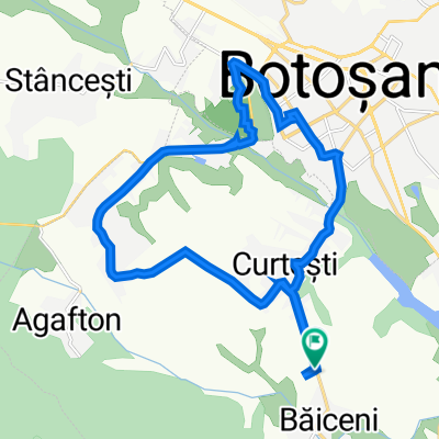 DJ207N, Curtesti to DJ207N, Curtesti