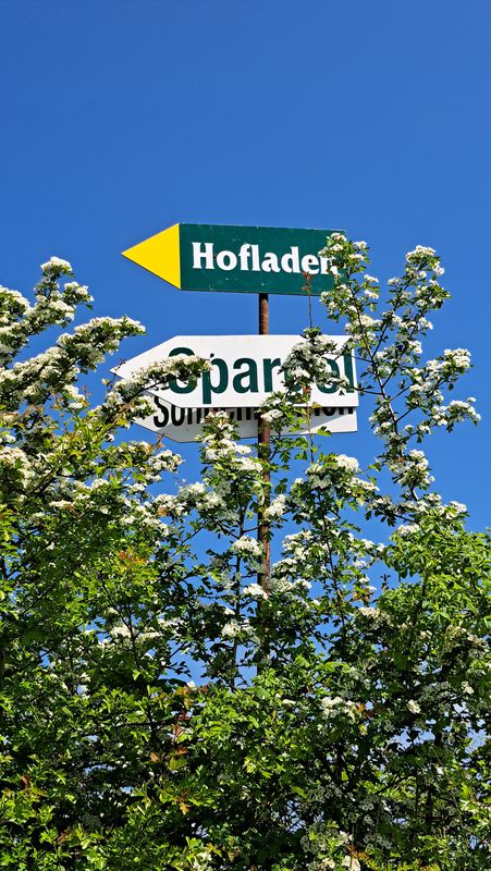 Bordesholm-Altenholz-Warleberg-Fähre Landwehr-Flemhude-Bordesholm