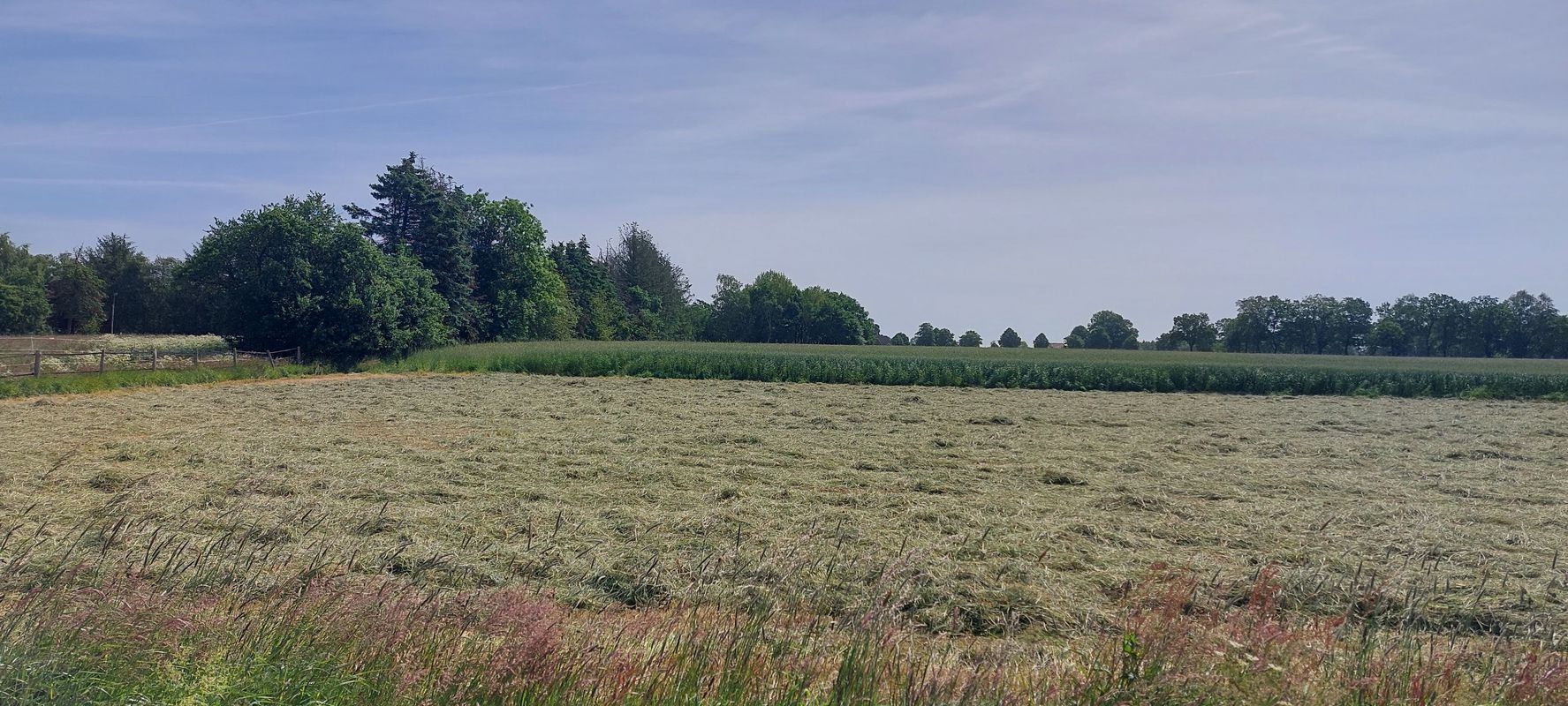 Auf den Kuhlen 16, Syke nach Auf den Kuhlen 16, Syke