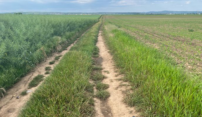 Foto 1 der Bikemap-Route "Ploieşti Radfahren"