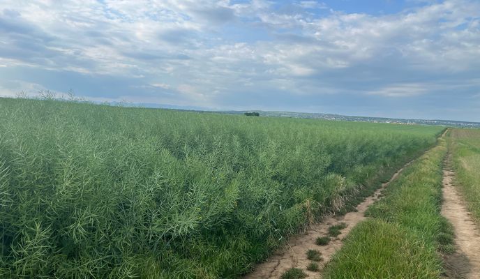 Foto 2 der Bikemap-Route "Ploieşti Radfahren"