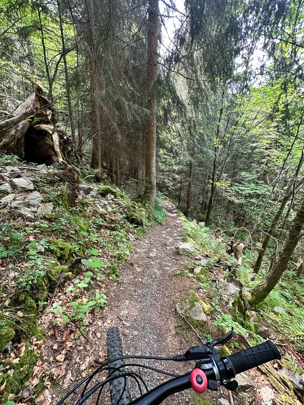 Ebniter Runde MTB