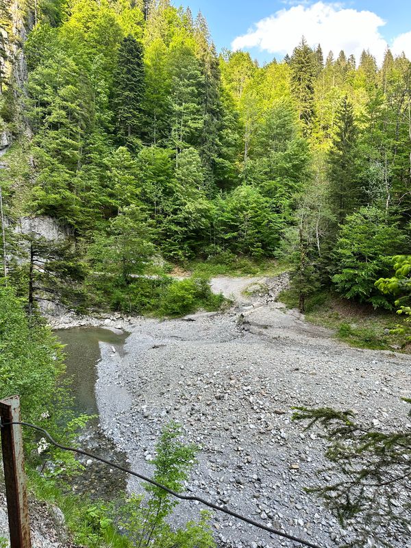 Ebniter Runde MTB