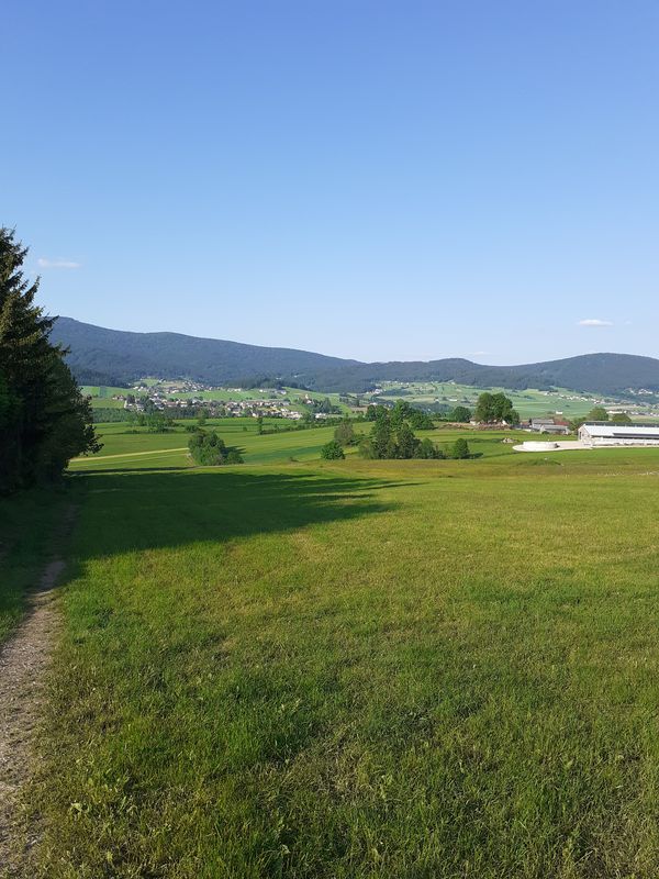 Dreihiaslstr. Bräuerau, Seitelschlag, Hinteranger